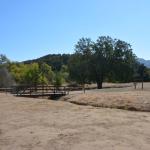 Paramount_075 (October 18, 2014)
